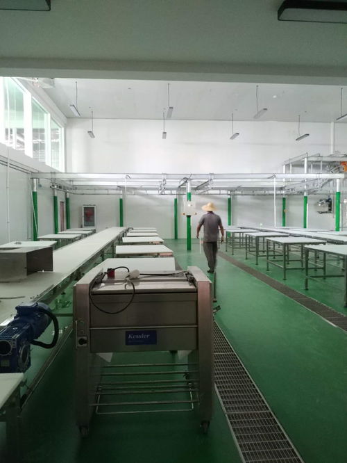 凱斯樂屠宰設備與肉類深加工設備成功落戶云南某廠，全面進入安裝調試階段